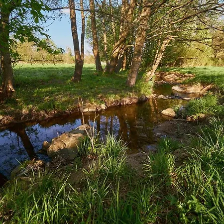 Duna1 Zdroj * Polanica-Zdrój