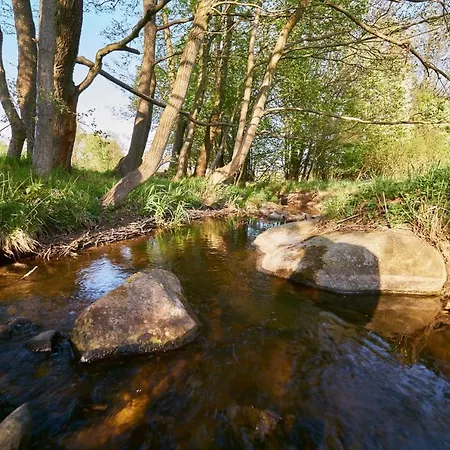 Duna1 Zdroj Polanica-Zdrój